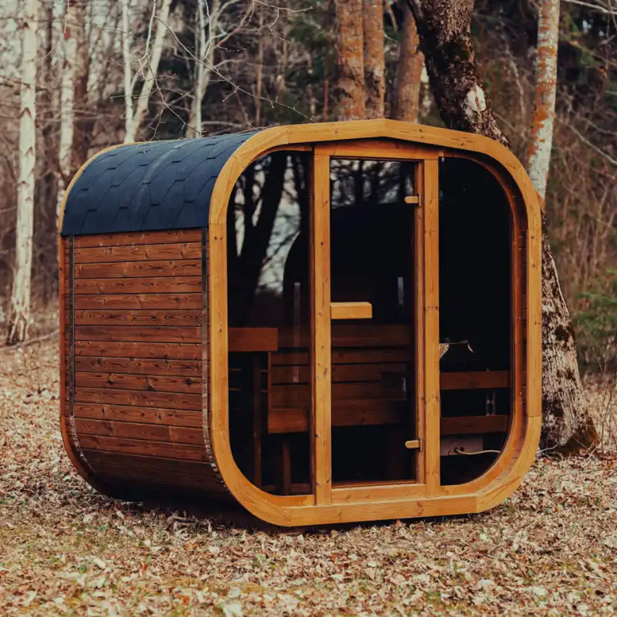 4-Person Outdoor ThermoWood Sauna Kit